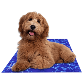 Chillz Gel Mat Medium Wave