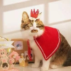 Merry Christmas Crown for pets