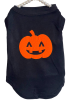 Puffed Pumpkin Dog Outfit