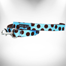 Polka Dot Dog on Blue Leads