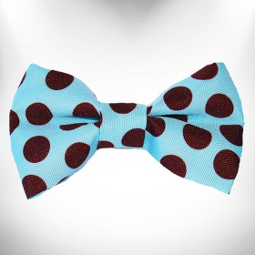 Polka Dot Dog on Blue Bow Tie