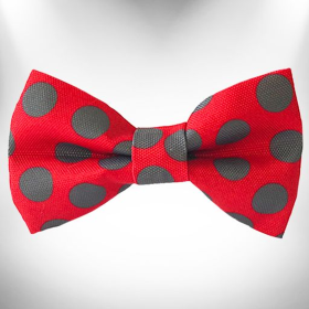 Polka Dot Dog Bow Tie