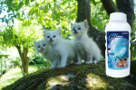 ALZOO Plant-Based Cat Litter Deodorizer, Fresh ocean Breeze