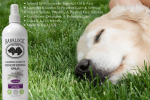 BarkLogic Calming Leave In Conditioner Spray