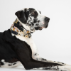 Onyx Tri Collar Charm