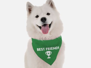 Best Friend