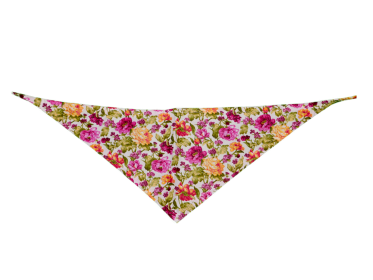 GG129FB|Pets Ribbons