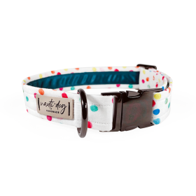 Celebration Birthday Rainbow Confetti Sprinkle Buckle & Martingale Dog Collar