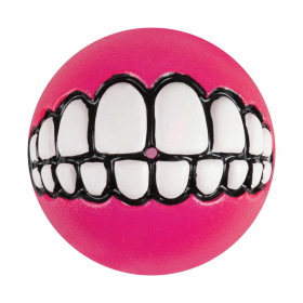 KONG Grinz by ROGZ Dog Fetch Toy Assorted