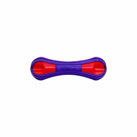 KONG Duets Duos Bone Dog Fetch Toy