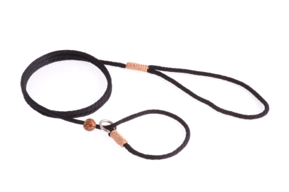Nylon Slip Lead With Stopper (4 ft  x 1/8in or 4mm) (Color: Black Nylon)