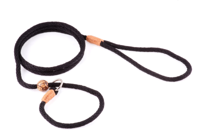 Nylon Slip Lead With Stopper (4 ft  x 1/4in or 6mm) (Color: Black Nylon)