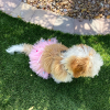 Pink Pom Pom Dog Tutu Skirt