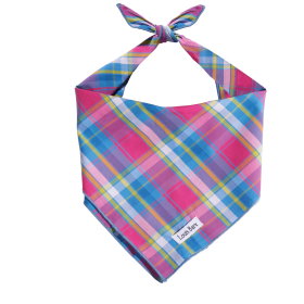 Colorful Plaid Bandana (size: small)
