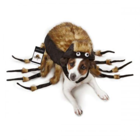 ZZ Fuzzy Tarantula Costume (size: Xsmall)