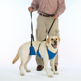 TPH Lift & Lead 4 in 1 (size: large)