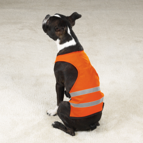 GG Safety Vest (size: large)