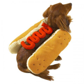 CC Hot Diggity Dog Costume L Mustard (size: large)