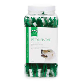 TP ProDental Dual End Brush 50Pk (Age: All Ages, size: 50 pack)