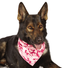 AR Camo Bandana (Color: Pink)