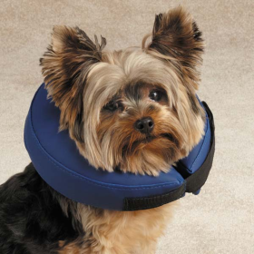TH Inflatable Collar (size: large)
