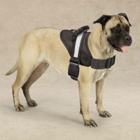 Guardian Gear Excursion Harnesses (size: 15-19in)