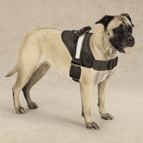 Guardian Gear Excursion Harnesses