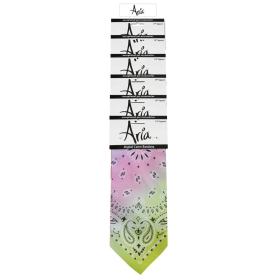 AR Paisley Bandanas Clip Strip 6pc (Age: All Ages)
