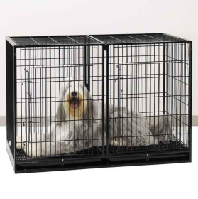 PS Modular Cage Xtall w/Plastic Tray (Age: All Ages)
