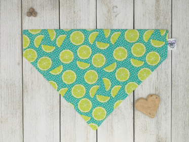 Over-The-Collar Dog Bandana (Print Design: A Twist of Lime, size: Xsmall)