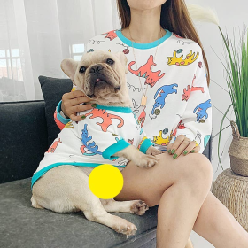 Little Dinosaur - Matching Pet and Owner Clothing Set (size: small)