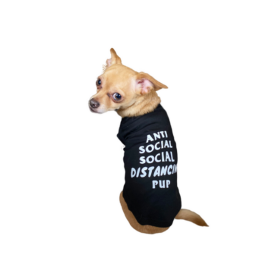 Anti Social Social Distancing Pup (Color: Black, Style: TEE, size: X Small)