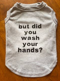 But did you wash your hands tee (size: X Small)
