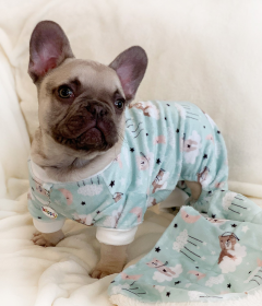 Ultra Soft Plush Minky Bedtime Bears Pajamas (size: XS)