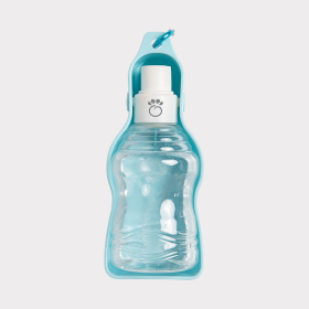 Water Bottle (Color: Blue)