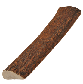 Natural Elk Antlers (Type: Whole)